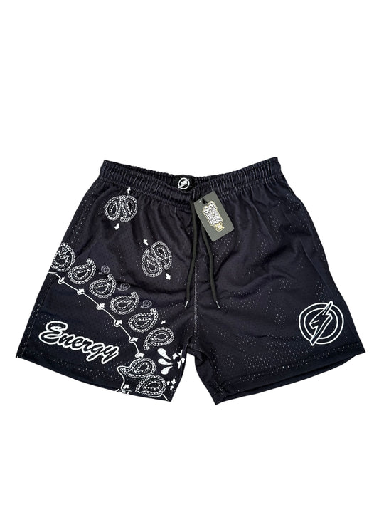 PAISLEY MESH SHORTS